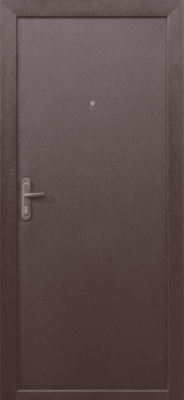 Дверь Прораб 5 Металл/металл