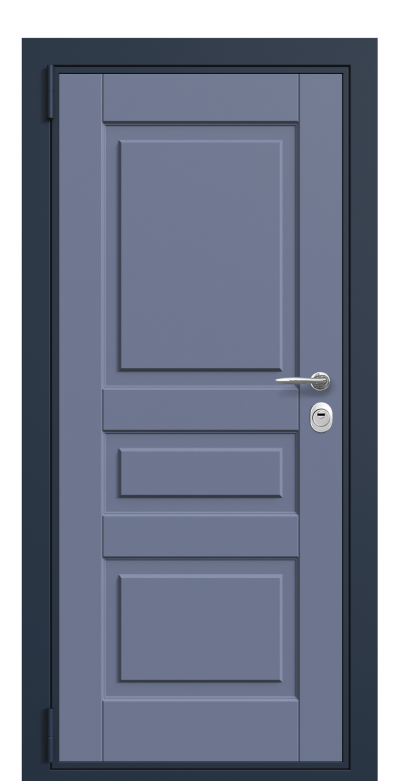 Дверь Fortis Normal RAL 5014/черный гранит